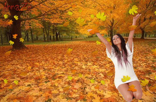 600 x 393