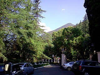 click for enlarge 1280 X 960 527,6 Kb picture