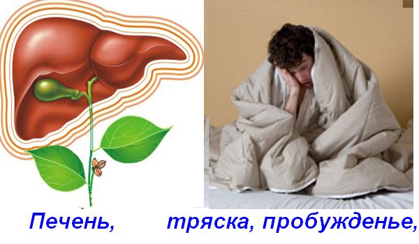600 x 350