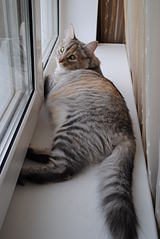 click for enlarge 1920 X 2868 378,5 Kb picture