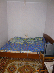 click for enlarge 600 X 800 136,9 Kb picture