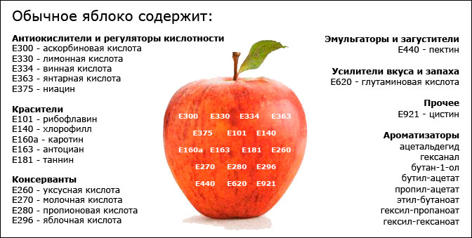 4197198.jpg