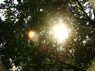click for enlarge 1632 X 1224 805,9 Kb picture