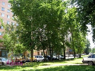 click for enlarge 500 X 375  65,6 Kb picture