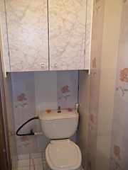 click for enlarge 768 X 1024 219,0 Kb picture
