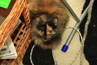 click for enlarge 1024 X 683 365,0 Kb picture