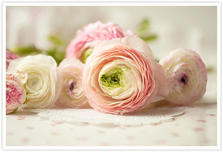 click for enlarge 612 X 419 62,8 Kb picture