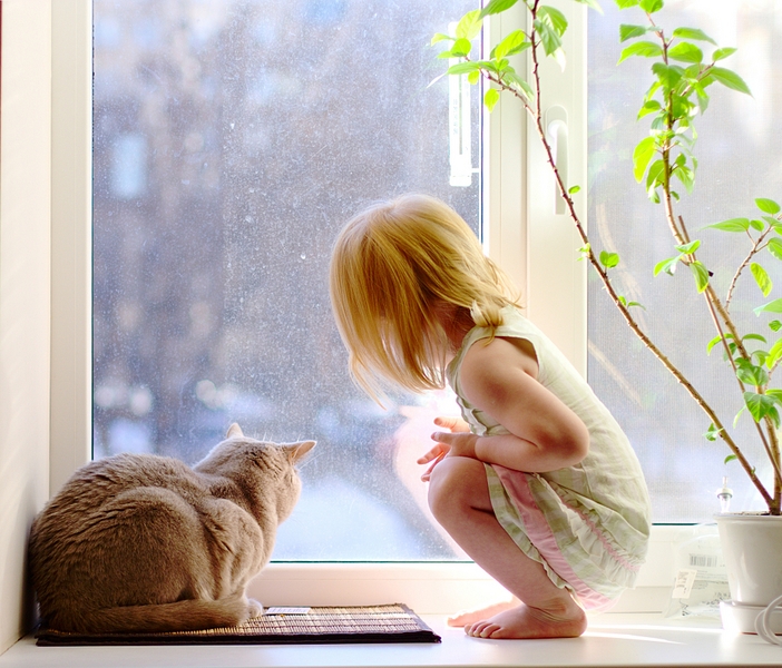 click for enlarge 1920 X 1639 211,5 Kb picture