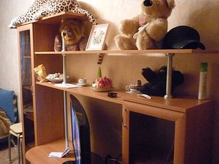 click for enlarge 1024 X 768 119,7 Kb picture