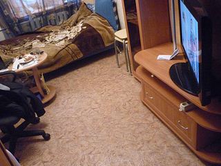 click for enlarge 1024 X 768 134,8 Kb picture