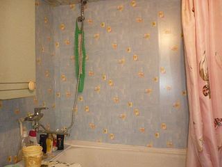 click for enlarge 1024 X 768  97,7 Kb picture