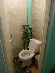 click for enlarge 1920 X 2560 278,2 Kb picture