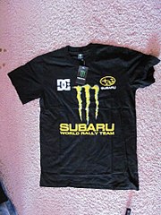 click for enlarge 768 X 1024 198,9 Kb picture