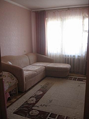 click for enlarge 360 X 480 55,6 Kb picture