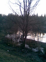 click for enlarge 1200 X 1600 287,4 Kb picture