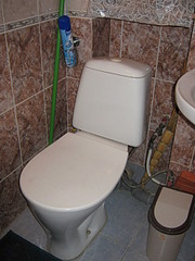 click for enlarge 1920 X 2560 371,4 Kb picture