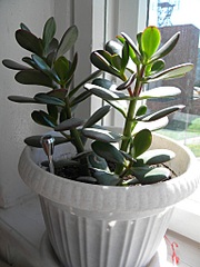 click for enlarge 768 X 1024 209,9 Kb picture