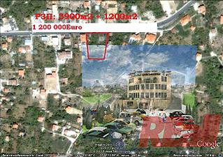 click for enlarge 650 X 458  68,9 Kb picture