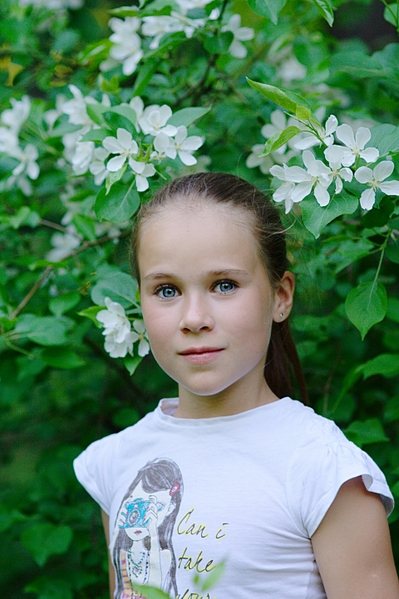 click for enlarge 1920 X 2882 330.8 Kb picture