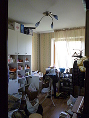 click for enlarge 480 X 640 139.5 Kb picture