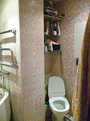 click for enlarge 480 X 640 135.1 Kb picture