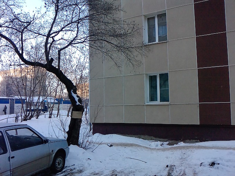 800 x 600