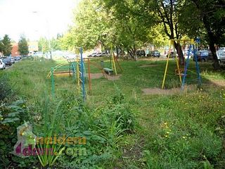 click for enlarge 500 X 375 52.2 Kb picture