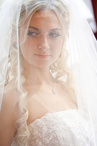 click for enlarge 1920 X 2880 299.7 Kb picture