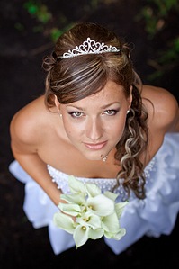 click for enlarge 537 X 807 86.5 Kb picture