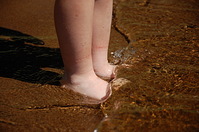 click for enlarge 1504 X 1000 427.1 Kb picture