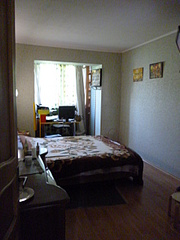 click for enlarge 480 X 640 132.2 Kb picture