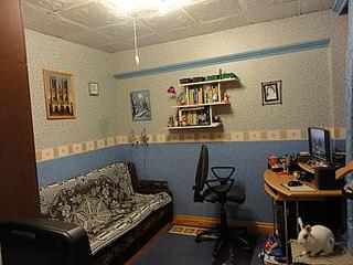 click for enlarge 432 X 324  47.8 Kb picture