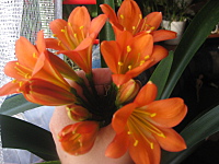 click for enlarge 1600 X 1200 750.2 Kb picture