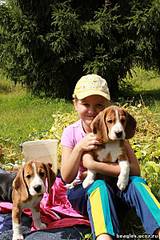 click for enlarge 400 X 600 52.2 Kb picture