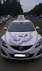 click for enlarge 1216 X 2048 481.4 Kb picture