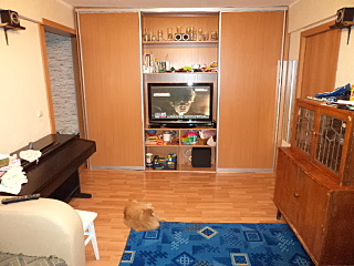 click for enlarge 640 X 480 124.0 Kb picture
