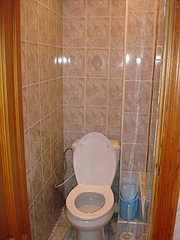click for enlarge 480 X 640 131.7 Kb picture