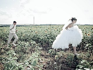 click for enlarge 807 X 605 157.6 Kb picture