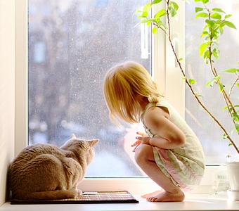 click for enlarge 1920 X 1694 215.6 Kb picture