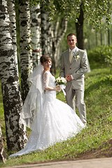 click for enlarge 538 X 807 118.0 Kb picture