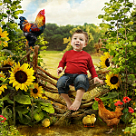 click for enlarge 600 X 600 612.5 Kb picture