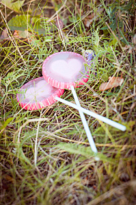 click for enlarge 850 X 1280 663.2 Kb picture