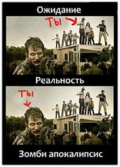 click for enlarge 499 X 700  65.1 Kb picture