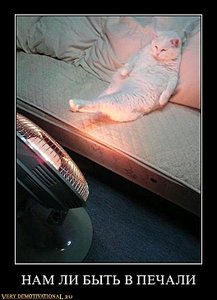 click for enlarge 528 X 729 55.3 Kb picture