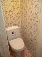 click for enlarge 768 X 1024 395.7 Kb picture