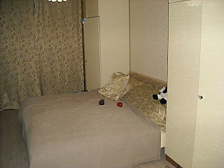 click for enlarge 640 X 480 65.2 Kb picture