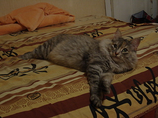 click for enlarge 1920 X 1440 167.1 Kb picture