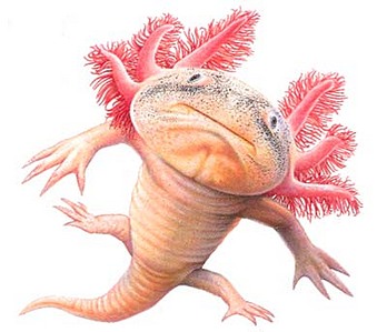 click for enlarge 400 X 344 27.3 Kb picture