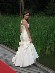 click for enlarge 768 X 1024 184.5 Kb picture