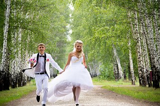 click for enlarge 1152 X 768 307.2 Kb picture